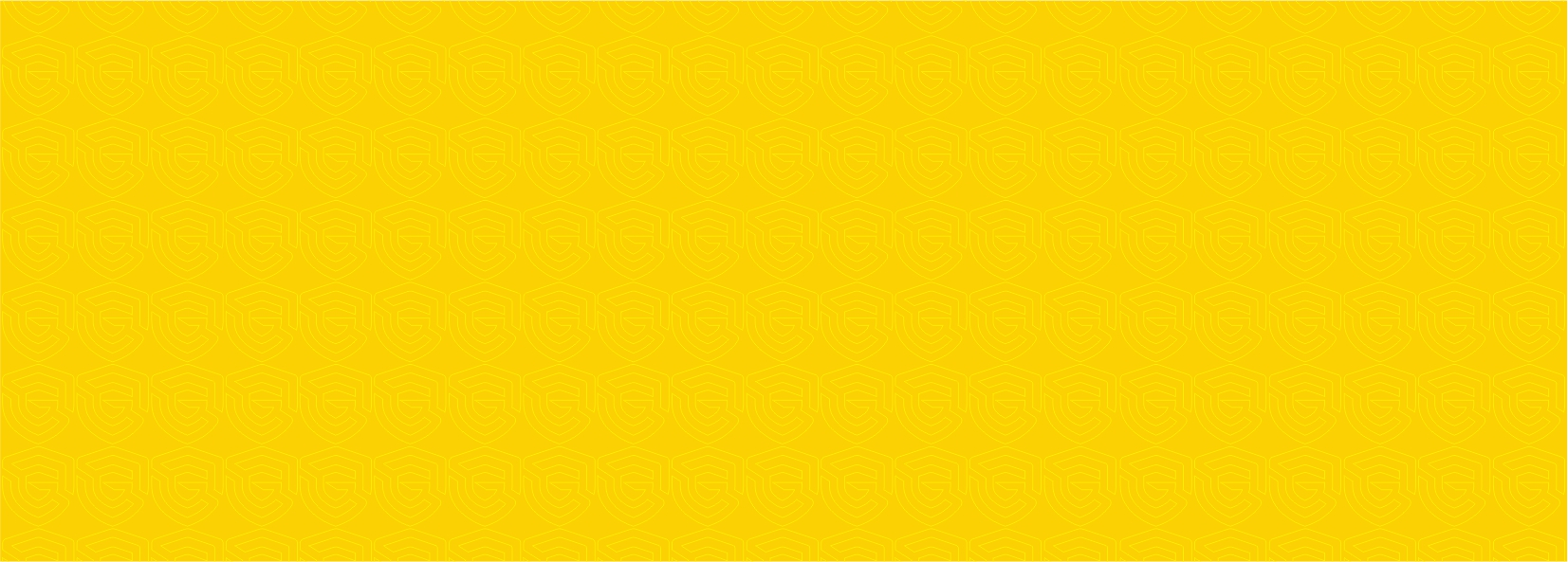 saluja gold tmt bars